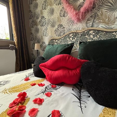 Romantisme Et Glamour Avec Spa ,Jardin Proche Zenith Dijon Eksteriør billede